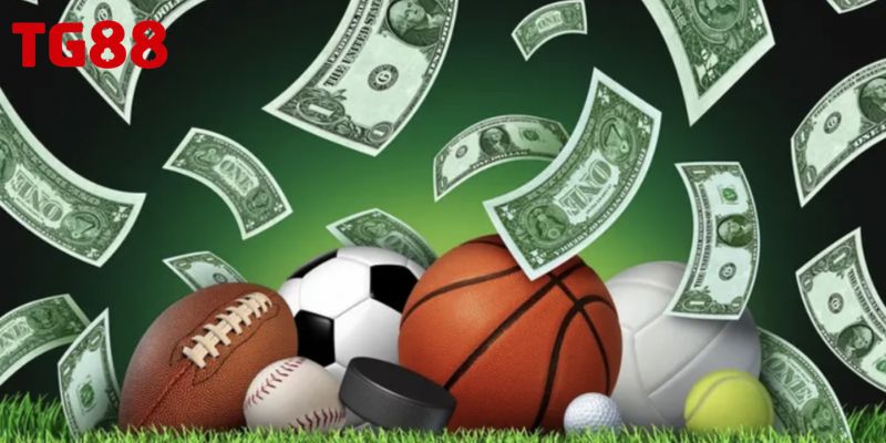 Giới thiệu khái quát sảnh thể thao TG88