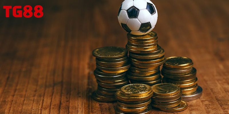 Đa dạng lựa chọn tại sảnh thể thao TG88